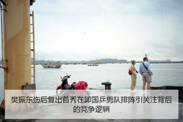 樊振东伤后复出首秀在即国乒男队排阵引关注背后的竞争逻辑