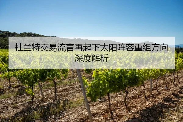 杜兰特交易流言再起下太阳阵容重组方向深度解析
