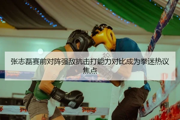 张志磊赛前对阵强敌抗击打能力对比成为拳迷热议焦点
